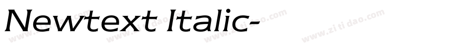 Newtext Italic字体转换